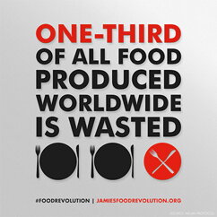 FOOD REVOLUTION