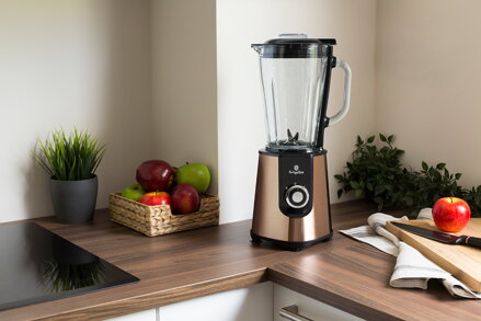 Smoothie Blender BERLINGER HAUS