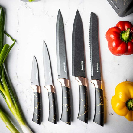 SADA 5 KUCHYŇSKÝCH NOŽŮ V BLOKU