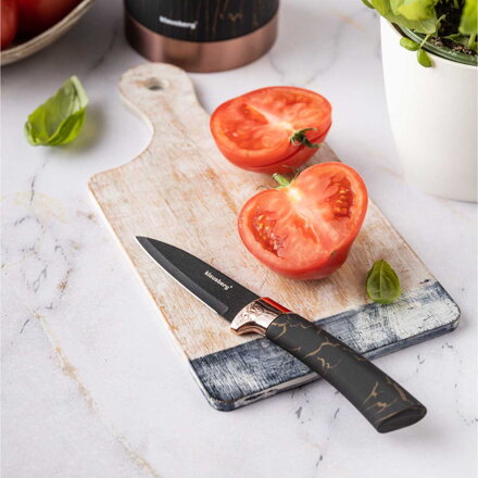 SADA 5 KUCHYŇSKÝCH NŮŽŮ VE STOJANKU